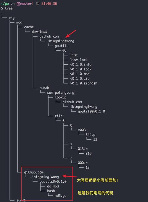 Go语言基础中，包的使用方法有哪些？