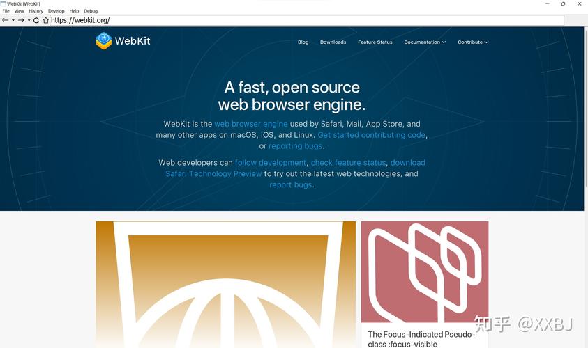 Windows环境下WebKit编译总结有哪些要点？