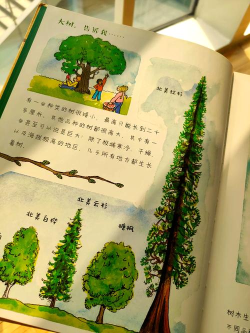 Ilya And The Tree中的哪棵树的故事最令人感动？