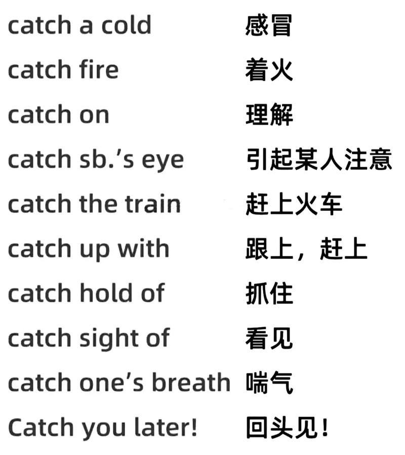 Java中try catch的基本用法如何改写成长尾词？