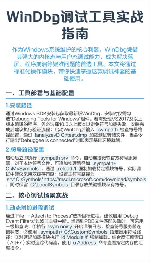 如何通过WinDbg精确获取指定方法的所有参数值？