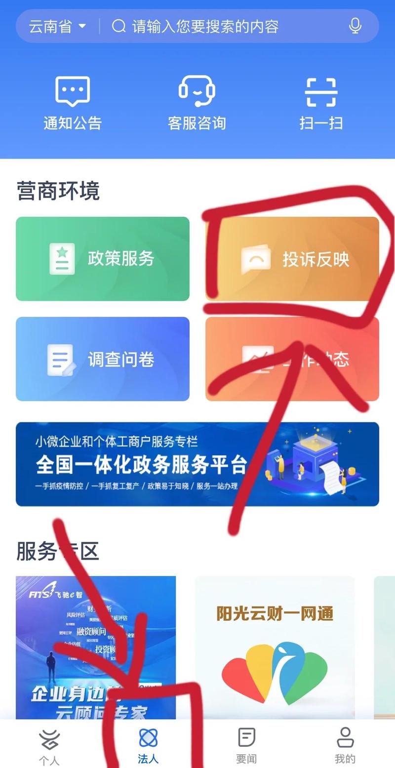 如何构建河东区优质在线平台，精准解读网报公告关键要素？