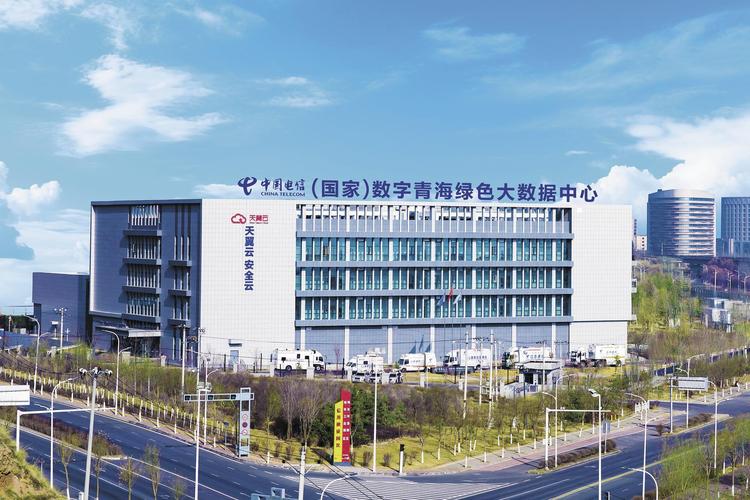 青海哪家专业网站建设公司是高原数字化浪潮的先锋引领者呢？