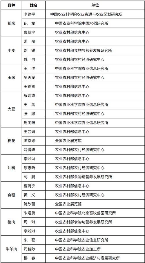 周村网站建设公司有哪些优势与影响力？专业团队如何深度解析？人员名单概览是怎样的？
