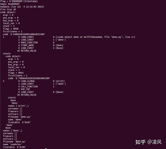 Python虚拟机pyc文件结构是怎样的？