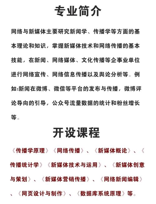 如何通过专业网站建设与实验心得，深入探索现代网络技术的深度与广度？