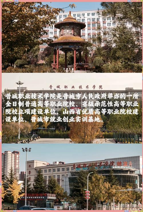 晋城专业技术学院在网站建设行业深度排名和解析方面有何独特优势？