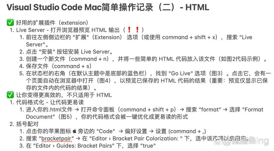 如何在Mac系统使用Visual Studio Code配置并运行Python代码？