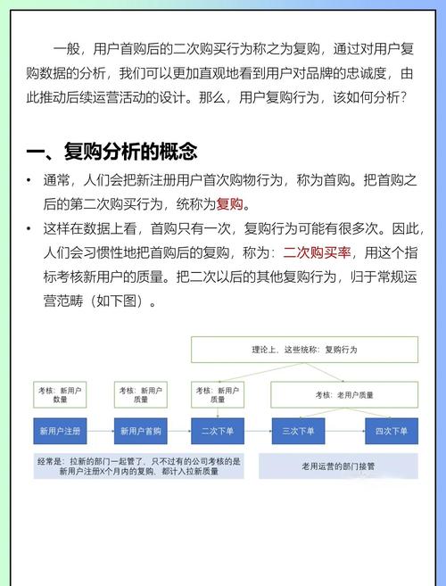 如何将独立站返单系统设计为提升复购率与客户忠诚度的核心引擎？
