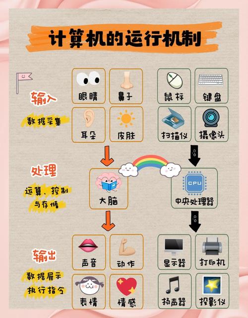 聪明人、傻子和程序员，谁在编程领域更具优势？