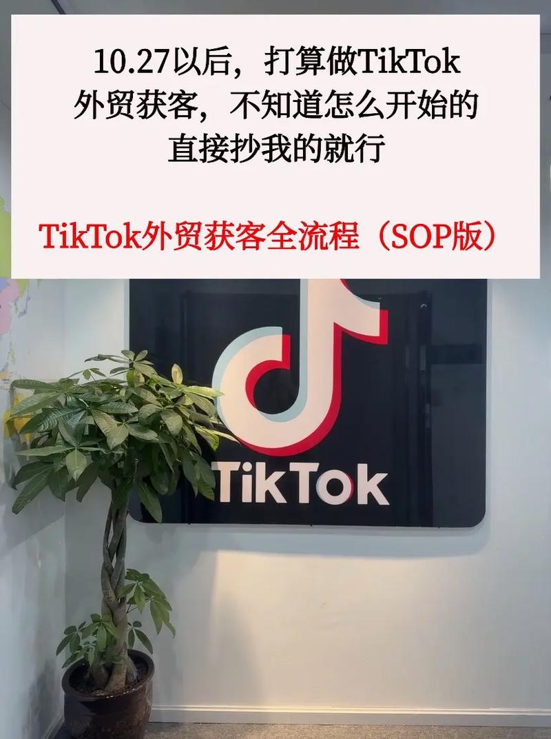 如何通过TikTok美国区精准引流，实现独立站获客成本降低80%？