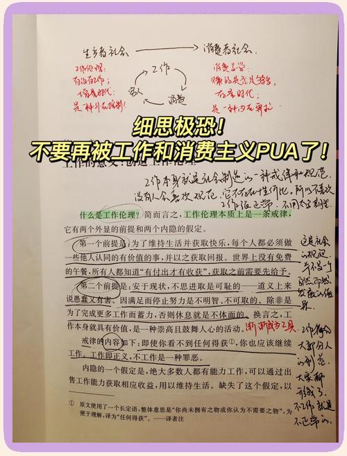 《工作、消费主义和新穷人》中，如何理解新穷人现象与消费主义的关系？