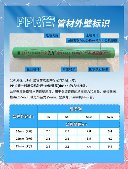 管项目和管基建，这两者本质区别在哪里？