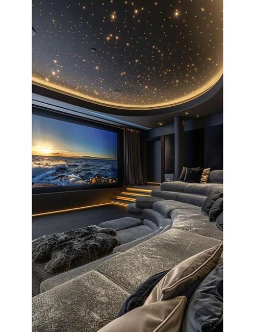 如何定制Emby插件，打造个性化家庭影院体验？