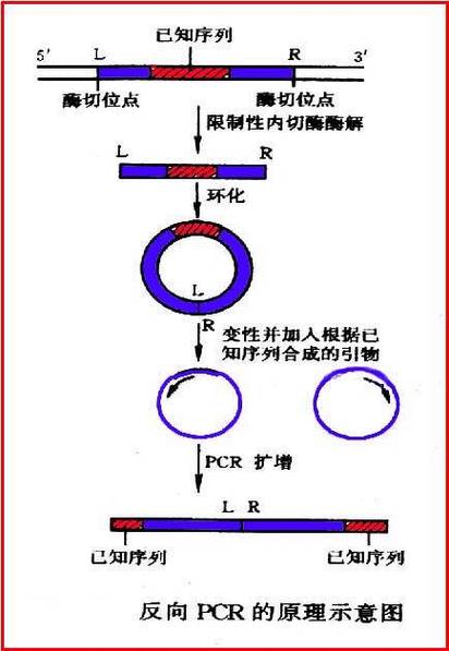 Phar反序列化具体过程和原理是怎样的？