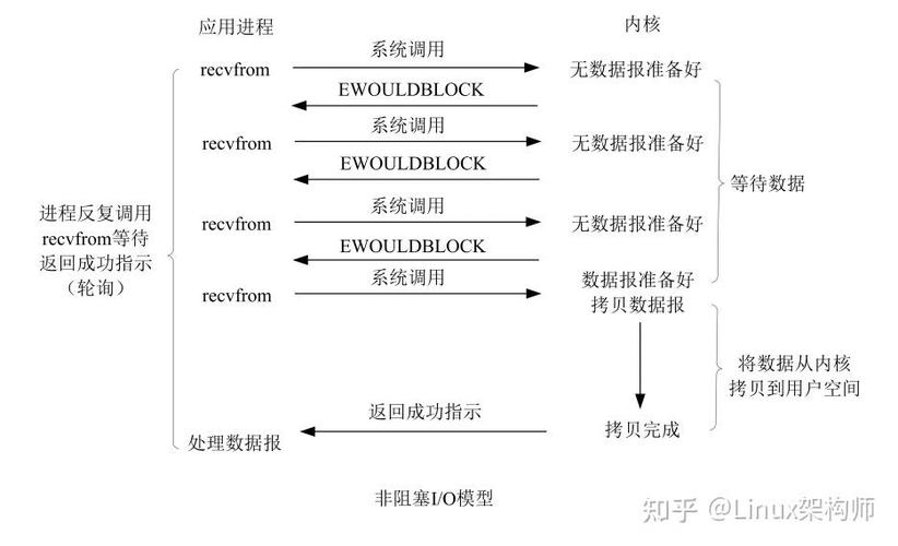 Unix网络编程中14章的高级I/O函数有哪些应用场景？