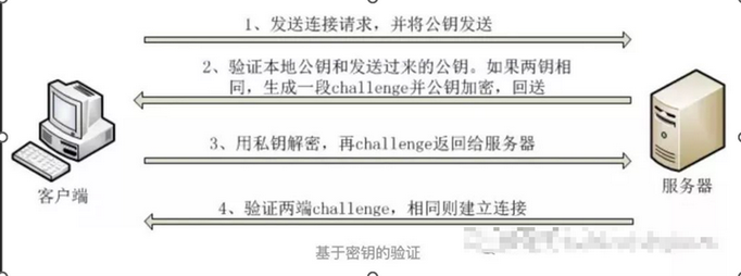 如何配置Hadoop集群中的SSH免密登录？