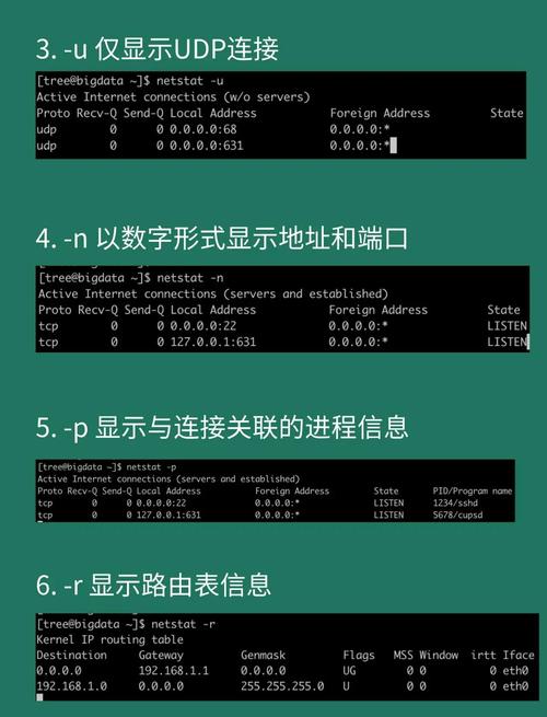 如何通过ifconfig精确监控网络状态，优化网络使用效率？