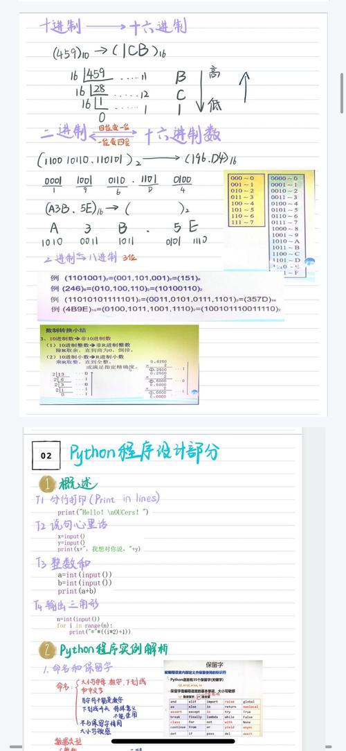 Python08的开发笔记，有哪些长尾词技巧可以分享？