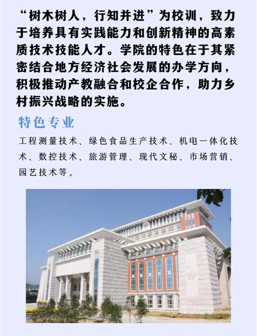 丽水网站建设领军者丽水网络学院有哪些专业优势和服务深度？