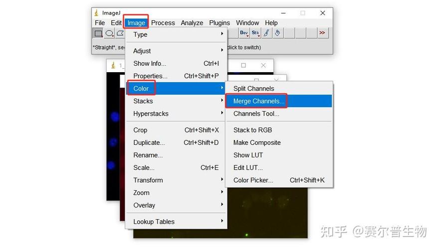 如何运用ImageMagick PHP扩展实现复杂图像特效处理？