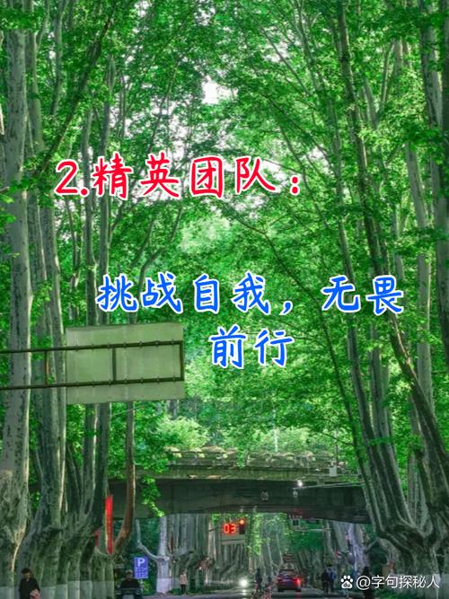 顺义网站建设精英团队，携手共创卓越数字未来有志之士愿加盟吗？