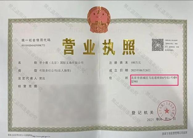 朝阳网络科技有限公司的营业执照信息，能透露其专业企业网站建设实践与探索的奥秘吗？