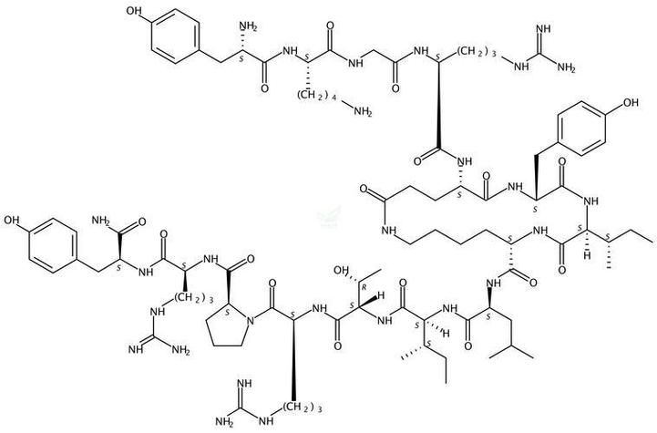 C结构是什么？能否详细解释一下？