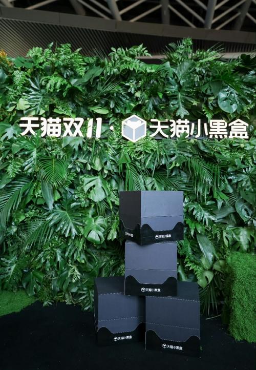 天猫小黑盒究竟有何神秘力量，引领潮流？