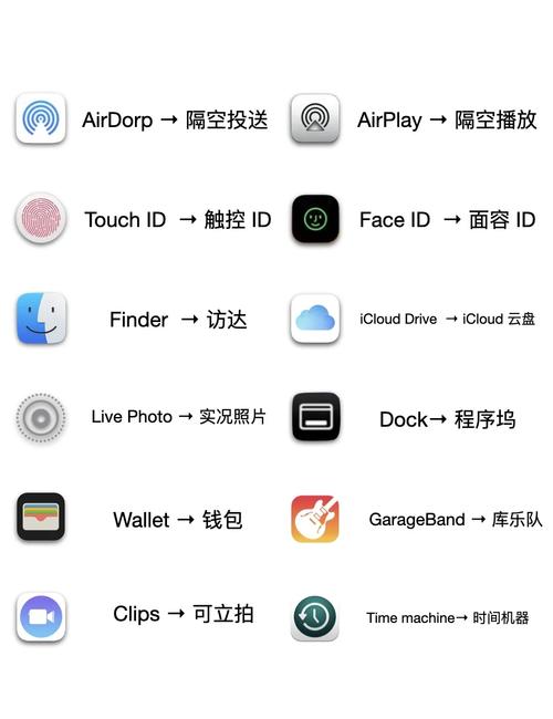 这个app究竟是什么应用程序的简称呢？