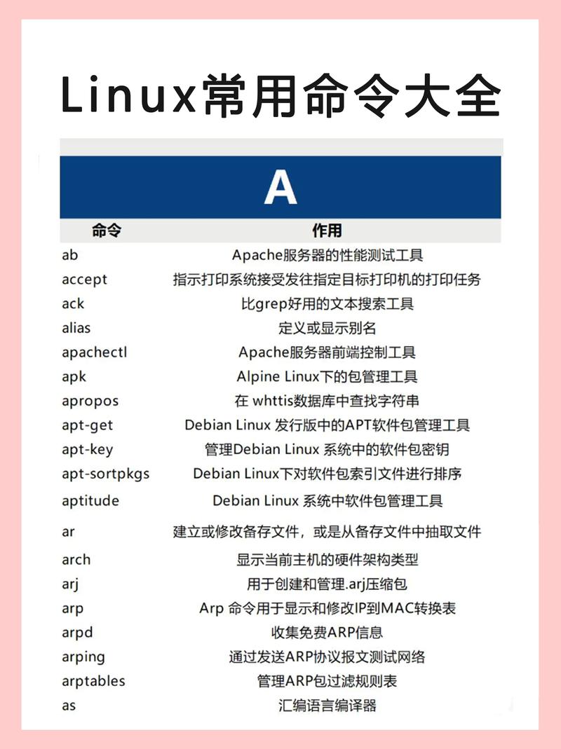 Django开发中都有哪些常用命令可以总结一下吗？