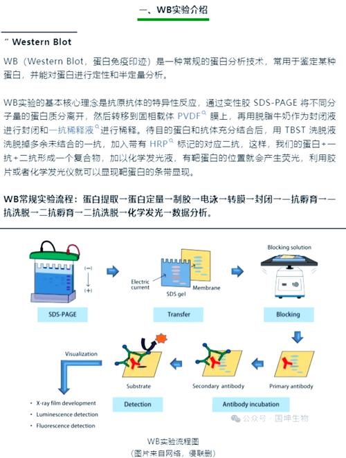 Vben Admin 源码中项目初始化步骤是怎样的？