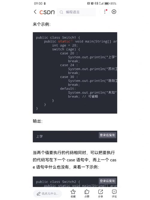 Java 17的switch模式匹配（Preview）有哪些具体应用场景？
