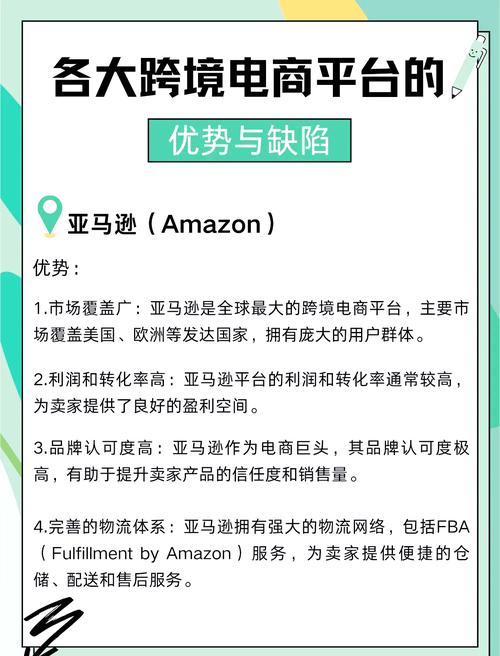 跨境电商自建站模式有哪些对比，其核心优势与未来挑战是什么？