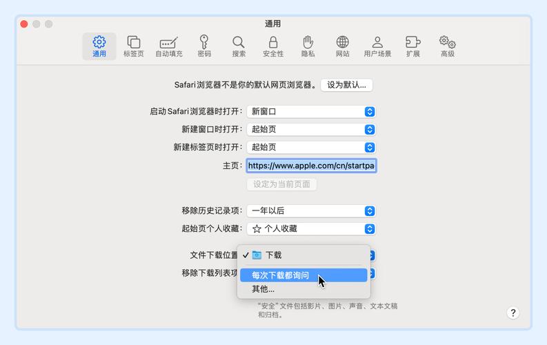 Safari下载的文件为何总是自动加上.html后缀？
