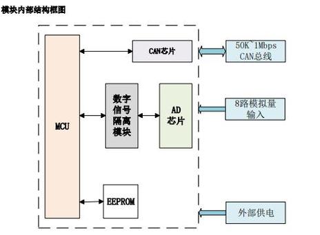 NC19810kingdom（dp）是什么？