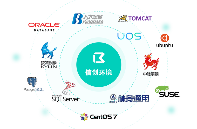 信创环境下数据库应如何满足哪些独特或特定要求？