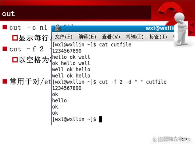 Shell基础 — 3、如何掌握echo命令的用法和技巧？