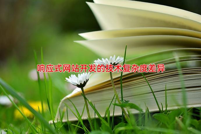 为什么不同公司SEO优化报价差异如此之大？