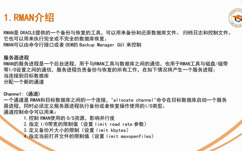 恢复数据库需要用到哪些文件和备份？