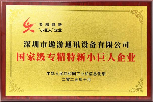 珠海SEO哪家强？企业腾飞选专业团队靠谱吗？