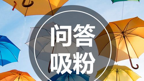 如何通过悟空问答互动问答技巧，轻松实现精准吸粉？