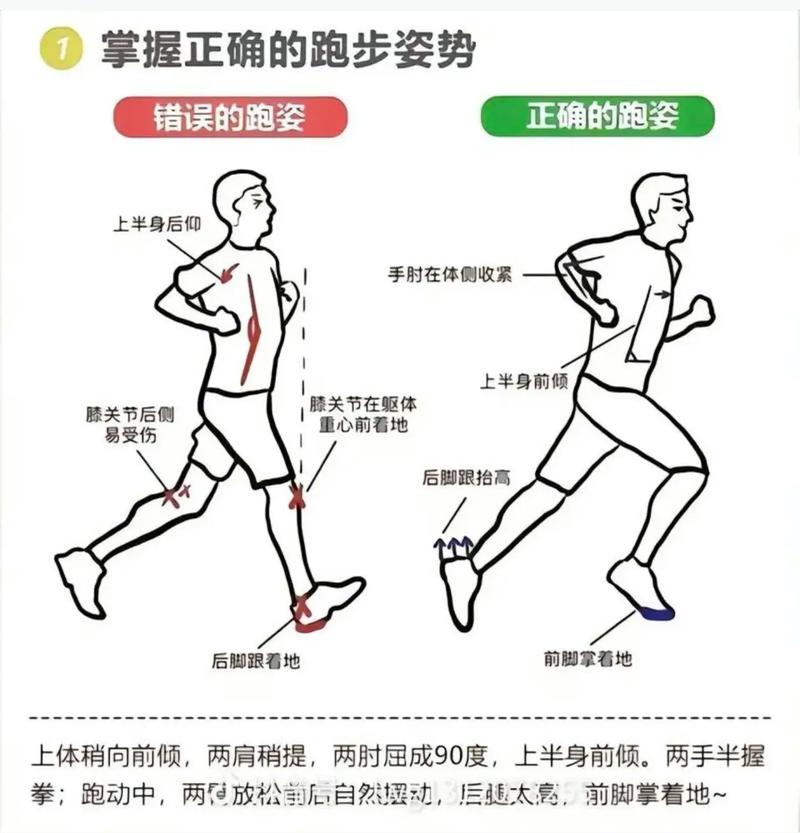 不同项目跑姿之间有哪些显著差异？