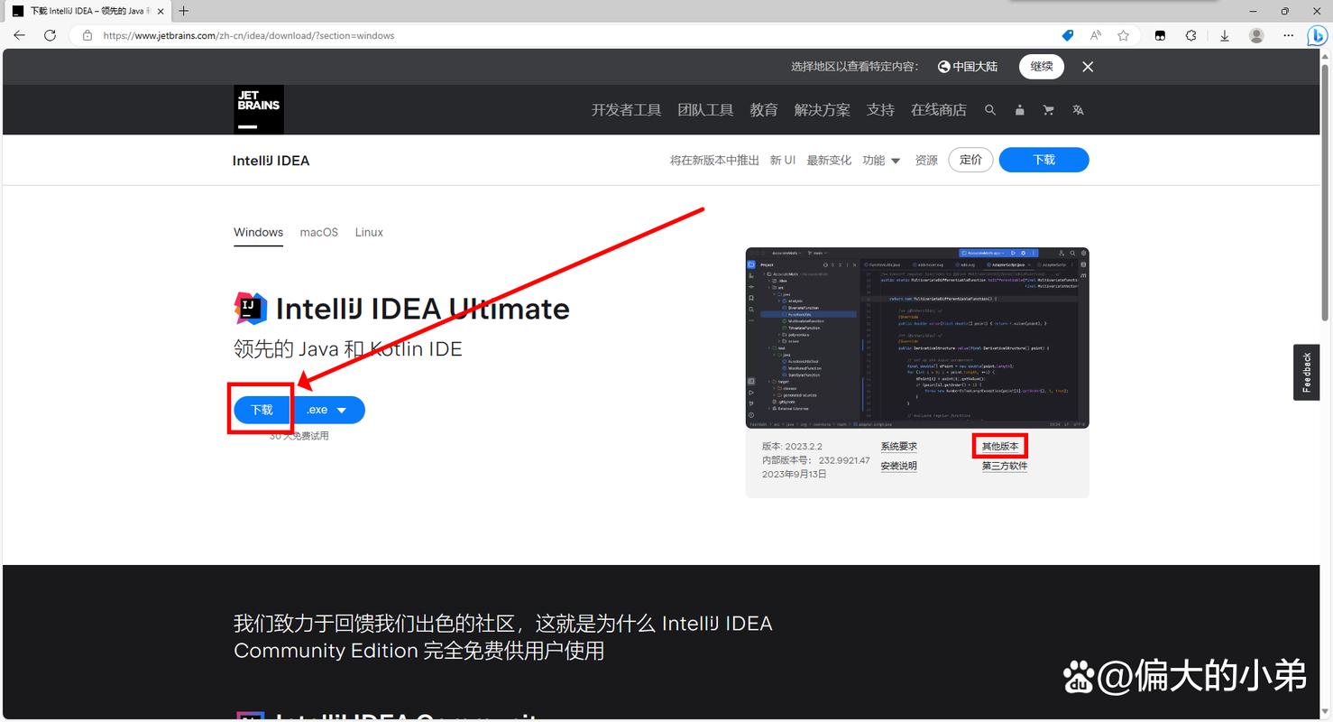 Navicat Premium 15永久破解版和2021年最新IDEA破解方法，哪里能找到亲测有效的？