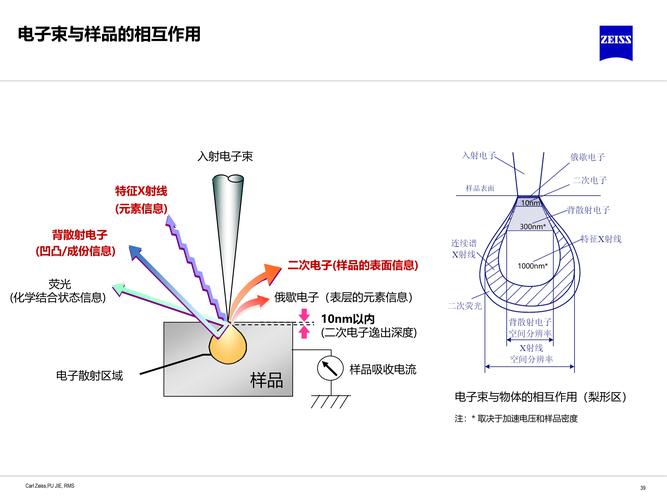SEM的原理和应用究竟如何深入解析？