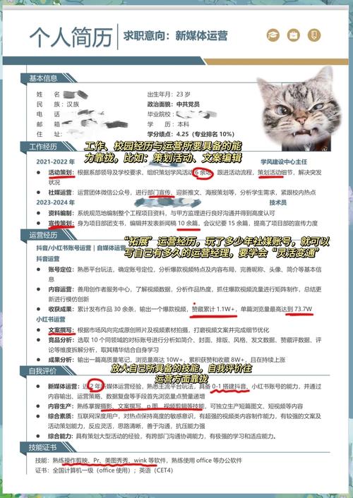 如何撰写电商独立站运营简历攻略，从零到一打造高通过率求职利器？
