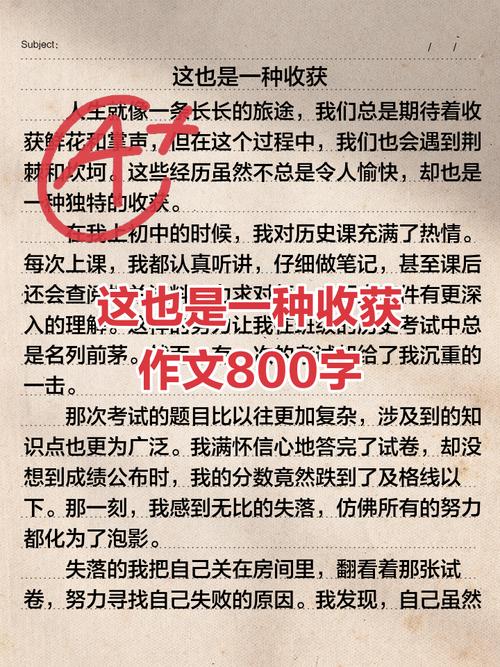2025年小何的哪些收获值得被铭记？