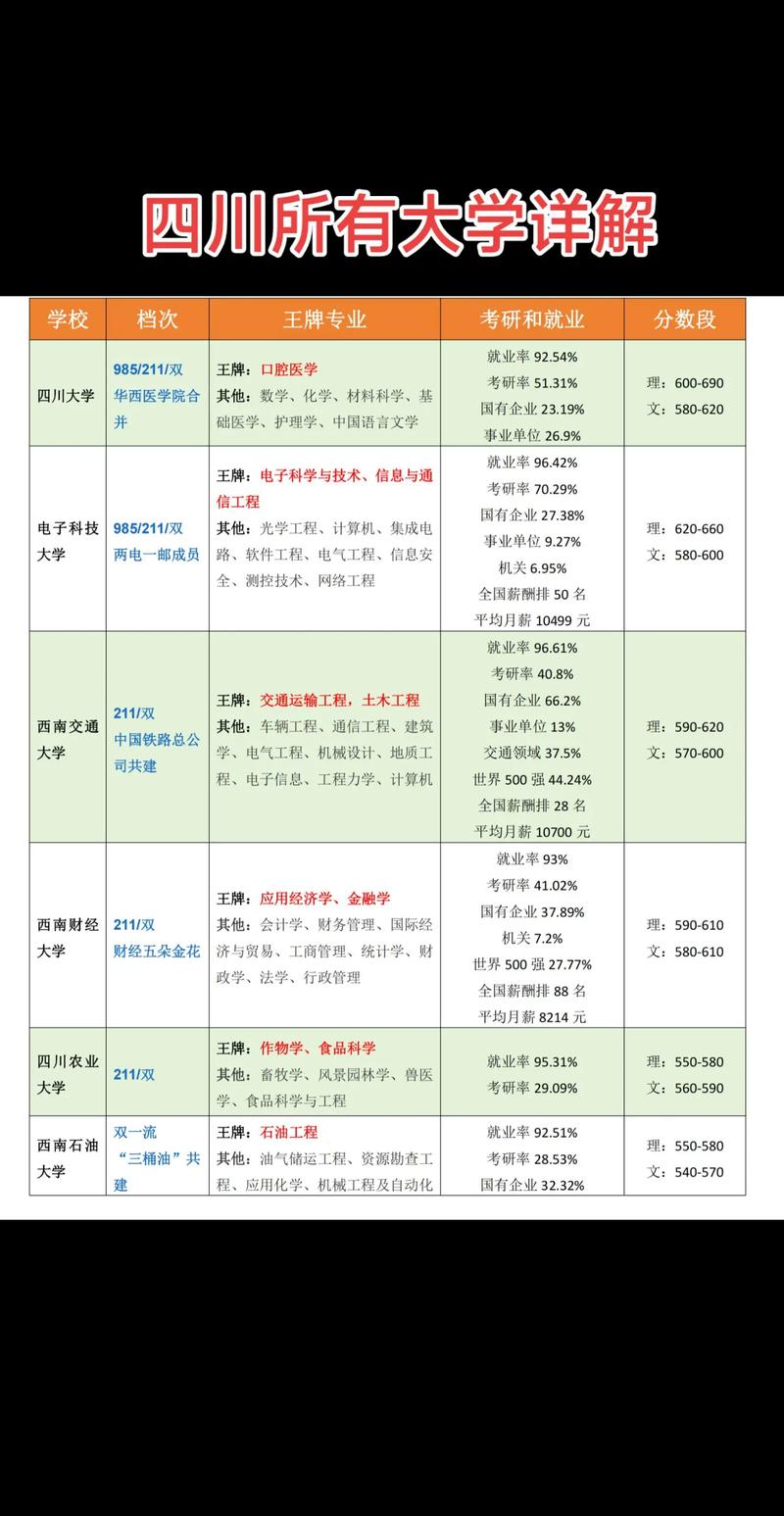 四川网站建设与管理专业深度探讨及排名解析，有哪些院校值得推荐？
