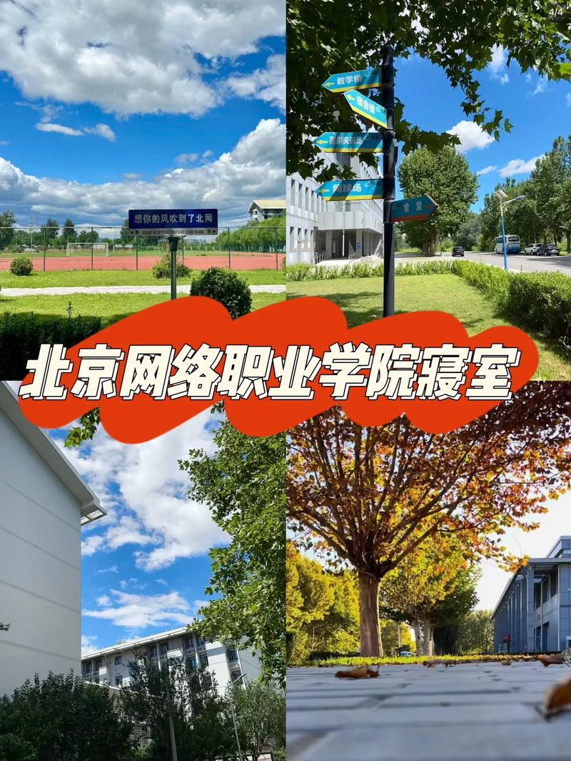 房山网站建设专业公司与网络职业学院哪家实力更强，特色更突出？