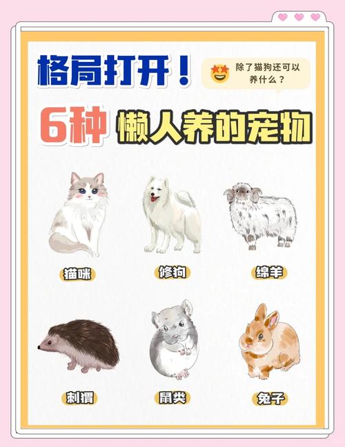2026年有哪些宝藏宠物品牌是宠物主必看的？